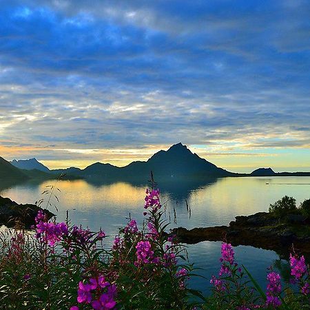 Skjellbogen Hyttegrend Sortland Esterno foto