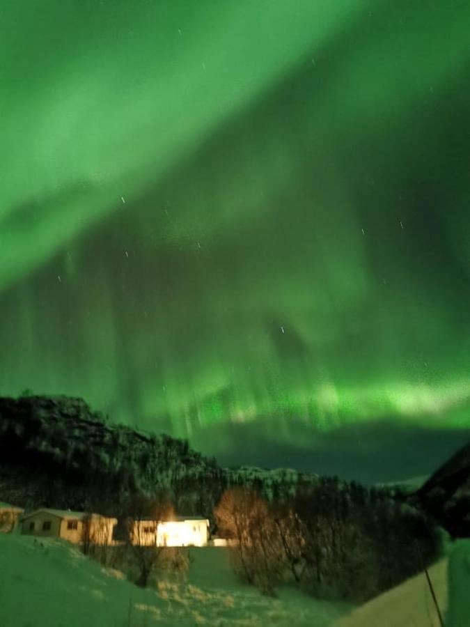 Skjellbogen Hyttegrend Sortland Esterno foto