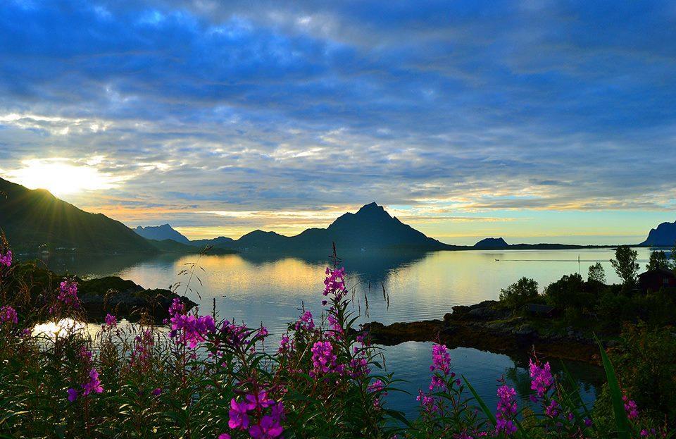 Skjellbogen Hyttegrend Sortland Esterno foto