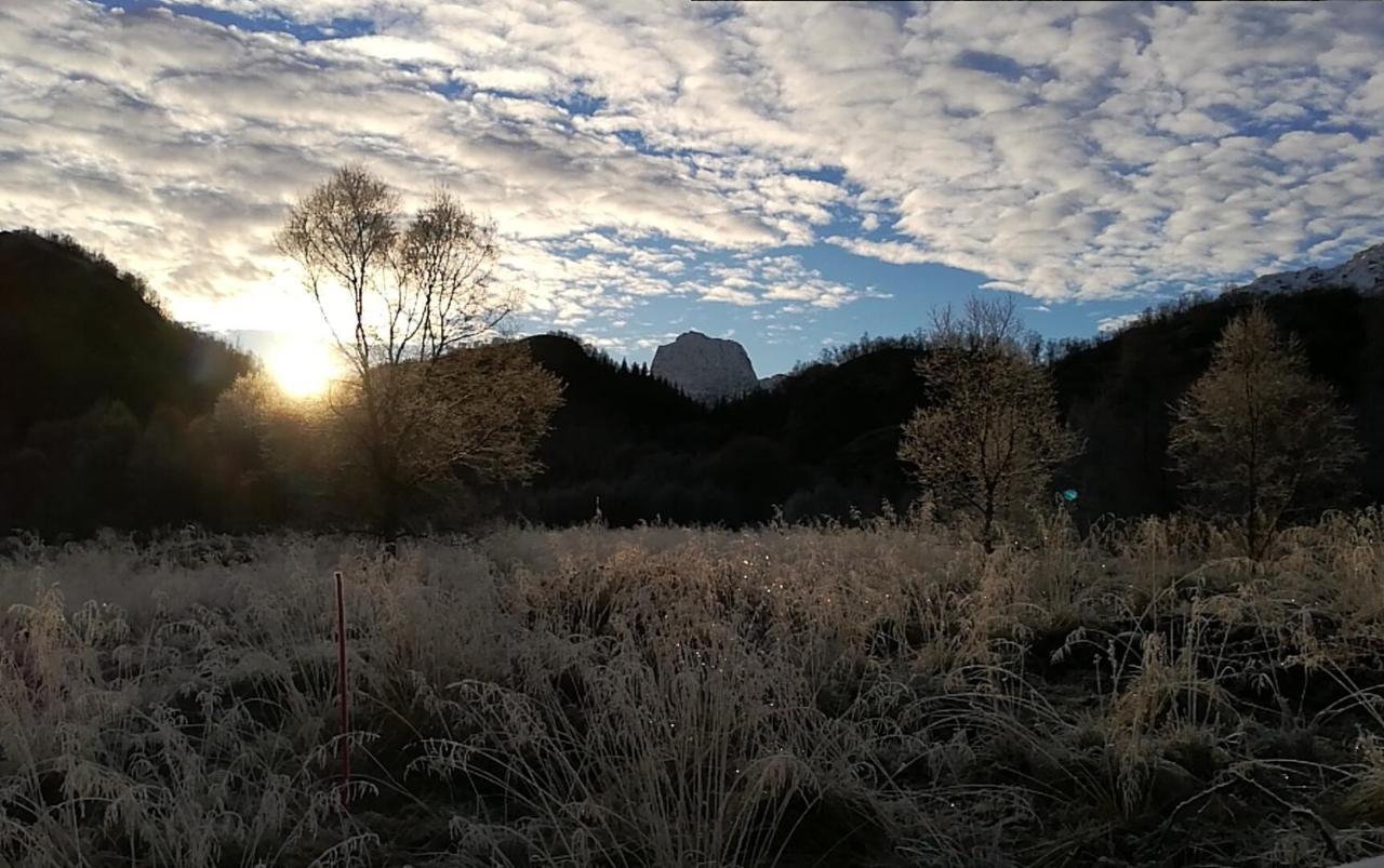 Skjellbogen Hyttegrend Sortland Esterno foto