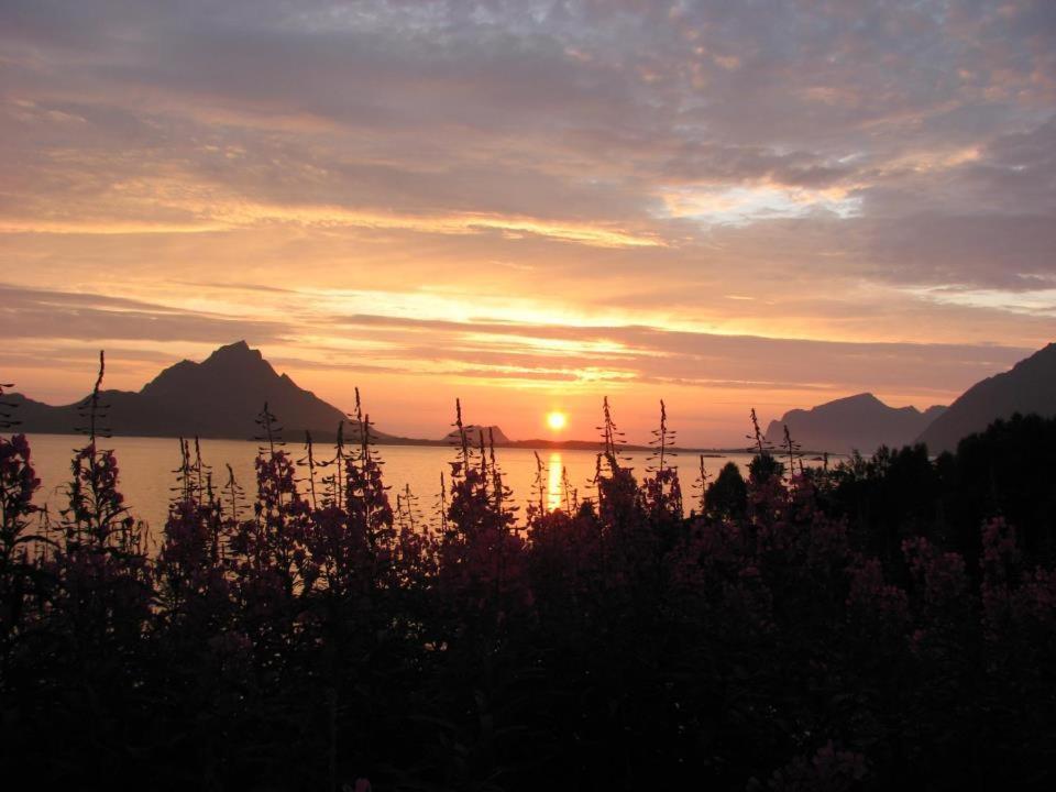 Skjellbogen Hyttegrend Sortland Esterno foto